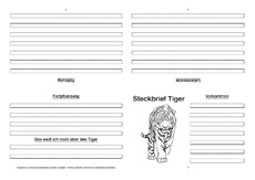 Tiger-Faltbuch-vierseitig-6.pdf